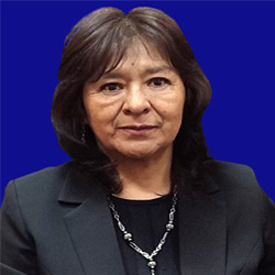 MARIA LUISA BUSTILLOS ARCE